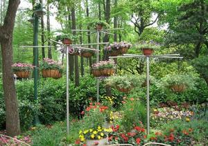 上海共青森林公園