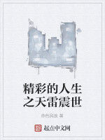 精彩的人生之天雷震世 精彩的人生之天雷震世