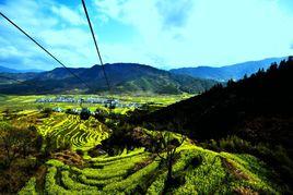 婺源景區 婺源景區