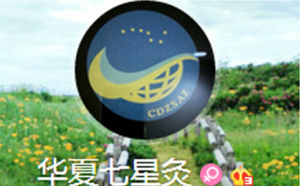 華夏七星灸 華夏七星灸