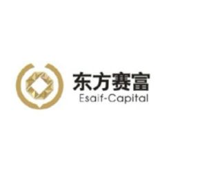 東方賽富 東方賽富