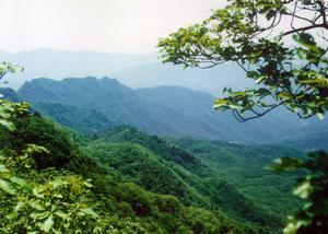 （圖）河南小秦嶺國家級自然保護區