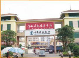 廣西花鳥交易市場 廣西花鳥交易市場