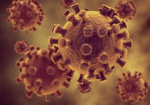 細菌浸出開採 細菌浸出開採