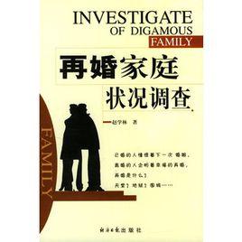 再婚家庭狀況調查 再婚家庭狀況調查