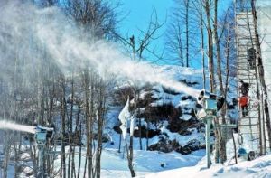 玫瑰莊園極限公園 玫瑰莊園極限公園