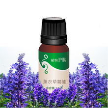 薰衣草棉精油 薰衣草棉精油