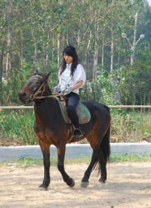 和平鄉村馬術俱樂部 和平鄉村馬術俱樂部