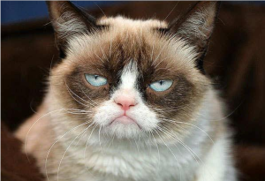 歡樂終結者 歡樂終結者