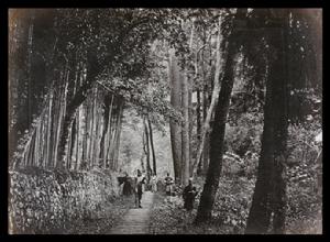 赫德巡視寧波期間