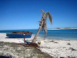 美國海龜國家公園 美國海龜國家公園