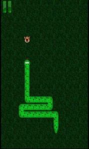 翡翠貪吃蛇 翡翠貪吃蛇