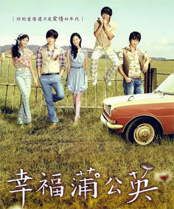 幸福蒲公英 幸福蒲公英