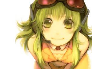 gumi gumi
