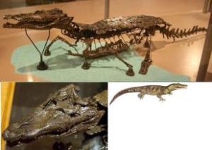 吉爾克里斯特鱷 吉爾克里斯特鱷