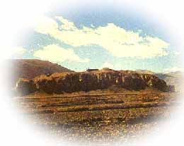 《代李敬業傳檄天下文》