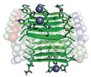 生物催化劑作用