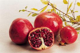 石榴[石榴科石榴屬漿果]