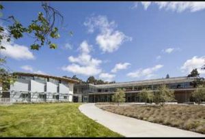 密爾斯學院研究生專業 密爾斯學院研究生專業