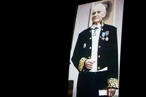 米赫內亞&middot;喬治烏院士