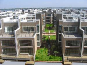 大洋彼岸(一期) 大洋彼岸(一期)