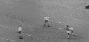 1958年瑞典世界盃