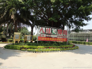 南寧八桂田園 南寧八桂田園