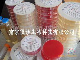 馬丁氏培養基 馬丁氏培養基