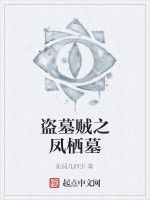 盜墓賊之鳳棲墓 盜墓賊之鳳棲墓