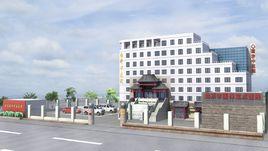 智力殘疾 智力殘疾