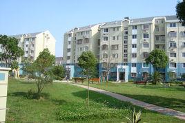 古桐四村 古桐四村