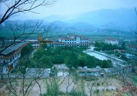 大安鎮[陝西省寧強縣大安鎮]