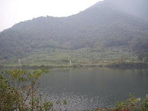 （圖）深澳村風貌