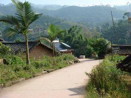 南島河村 南島河村
