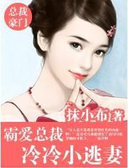 霸愛總裁冷冷小逃妻 霸愛總裁冷冷小逃妻