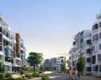 日照天誠華爾茲 日照天誠華爾茲