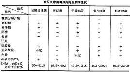 奈瑟氏球菌屬 奈瑟氏球菌屬