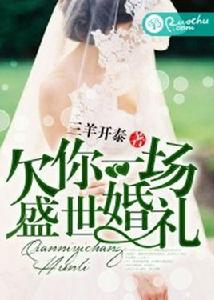 欠你一場盛世婚禮 欠你一場盛世婚禮