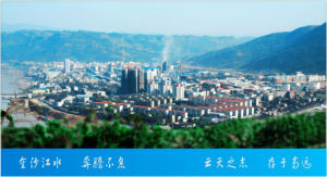 雲南雲天化股份有限公司