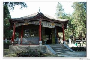 臥龍崗鄉 臥龍崗鄉