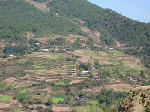 上箐頭村 上箐頭村