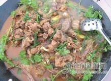 五指毛桃[植物]