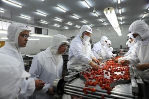 如皋市長生食品罐頭有限公司 如皋市長生食品罐頭有限公司