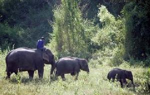 《星星少年》 《星星少年》