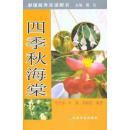 《四季秋海棠》 《四季秋海棠》