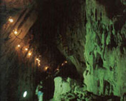 恆春熱帶森林植物園 恆春熱帶森林植物園