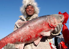 查乾湖冬捕 查乾湖冬捕