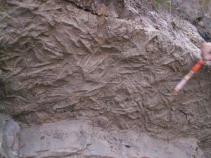 碳酸鹽台地相 碳酸鹽台地相