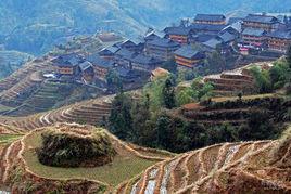 田頭村[福建省泉州市安溪縣金谷鎮田頭村]