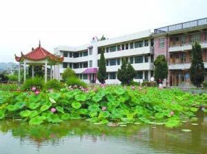 橋頭鄉[湖南省郴州市桂東縣]